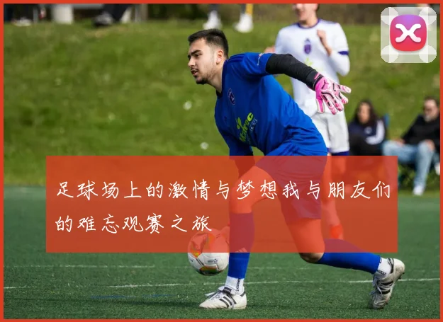 足球场上的激情与梦想我与朋友们的难忘观赛之旅