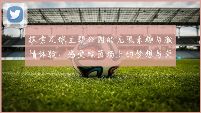 探索足球主题公园的无限乐趣与激情体验，感受绿茵场上的梦想与荣耀
