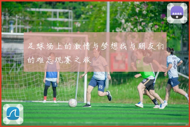 足球场上的激情与梦想我与朋友们的难忘观赛之旅