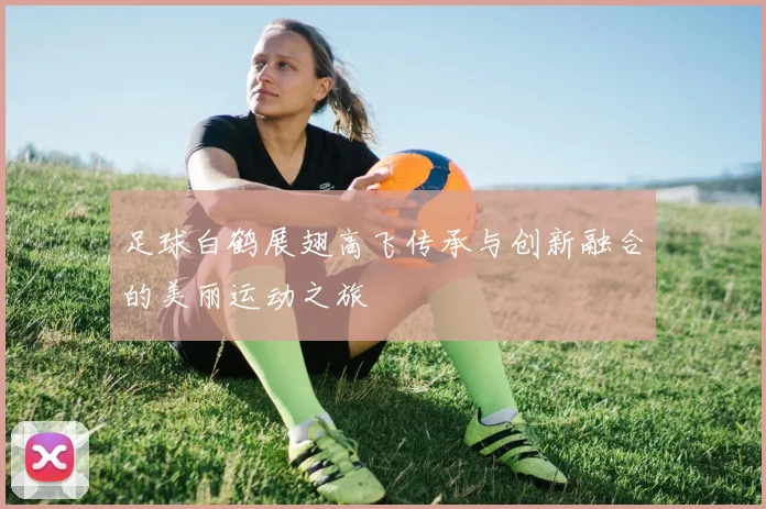 足球白鹤展翅高飞传承与创新融合的美丽运动之旅